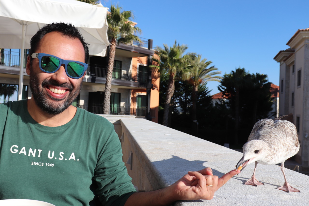 IMG_2918.JPG IMG_2918.JPG