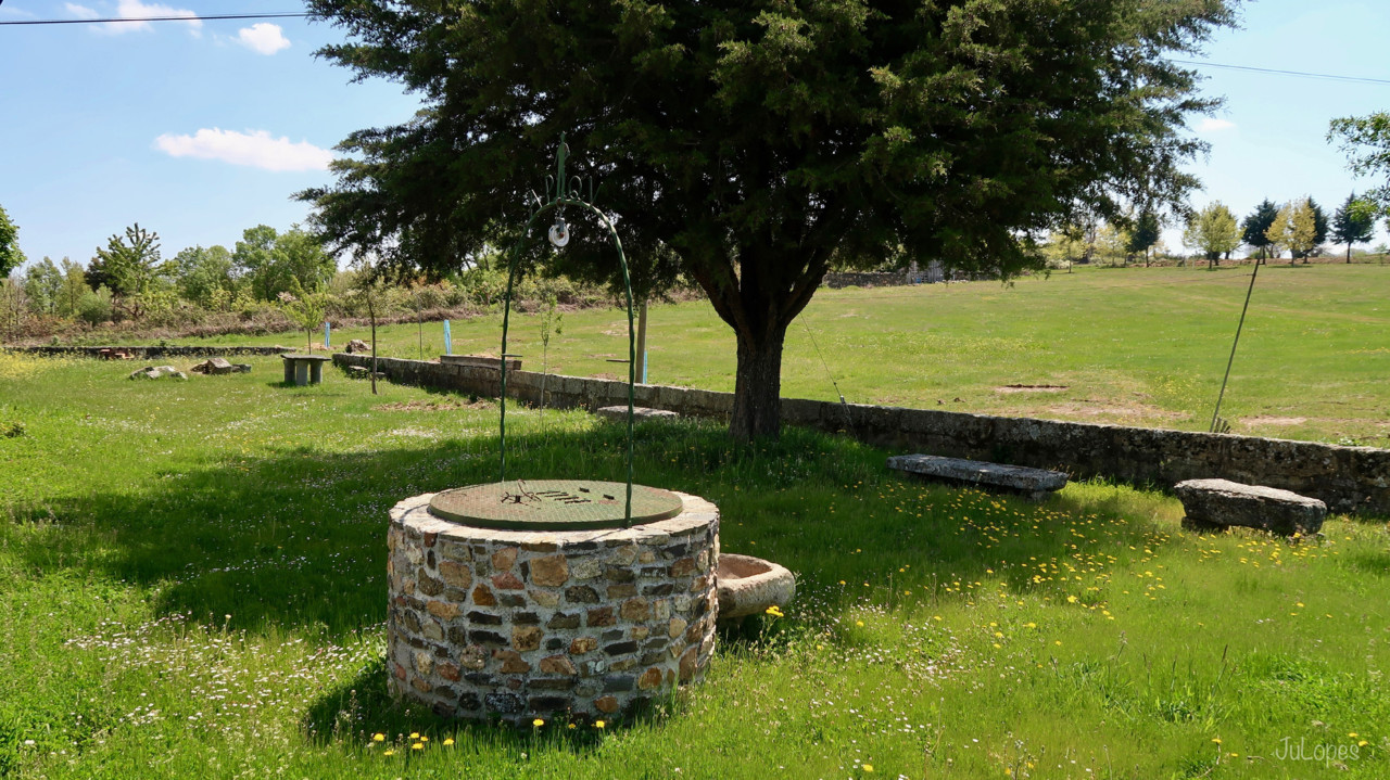 IMG_1547.jpg IMG_1547.jpg