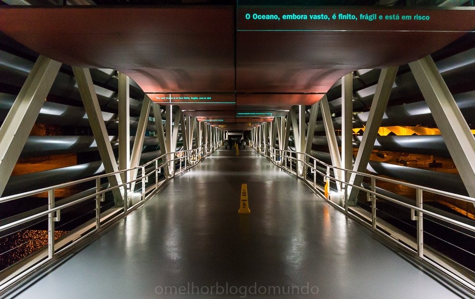 DSC00294.jpg DSC00294.jpg