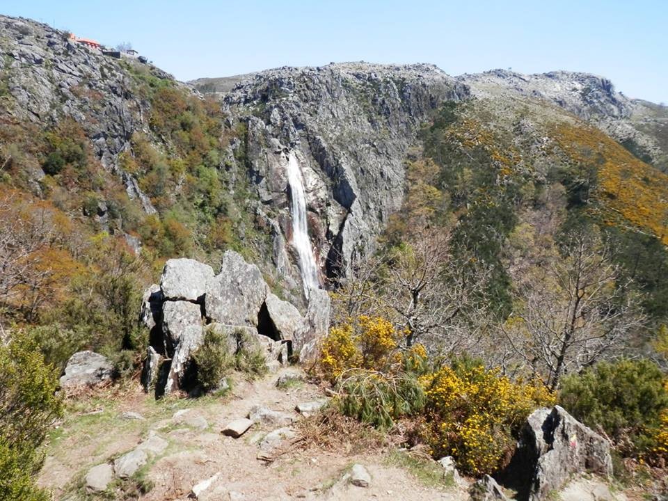 13139295_1171736722837917_2384841687131948230_n.jp