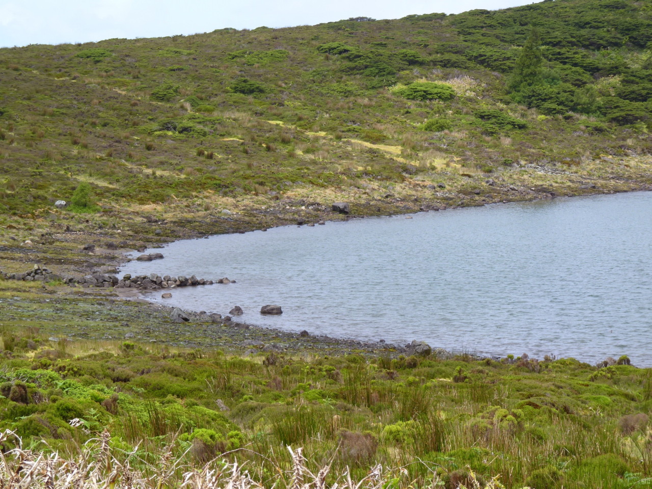 Lagoa Rasa, Flores (3).JPG