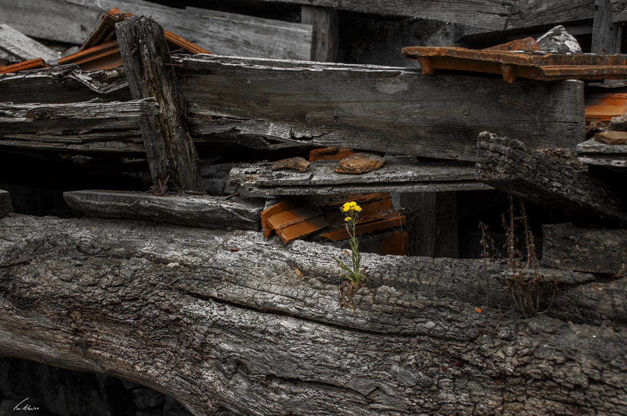 1600-gondar (176).jpg