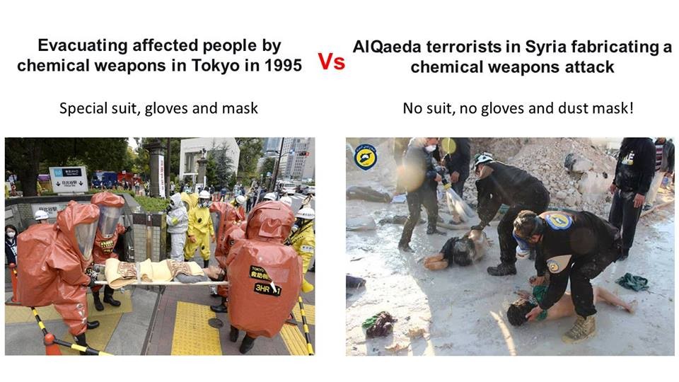 17629943_10155283177143777_230765551251676674_n (1