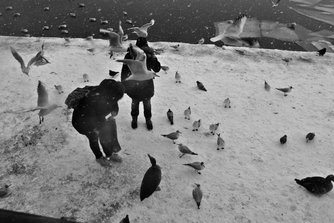 IMG_5107.JPG IMG_5107.JPG