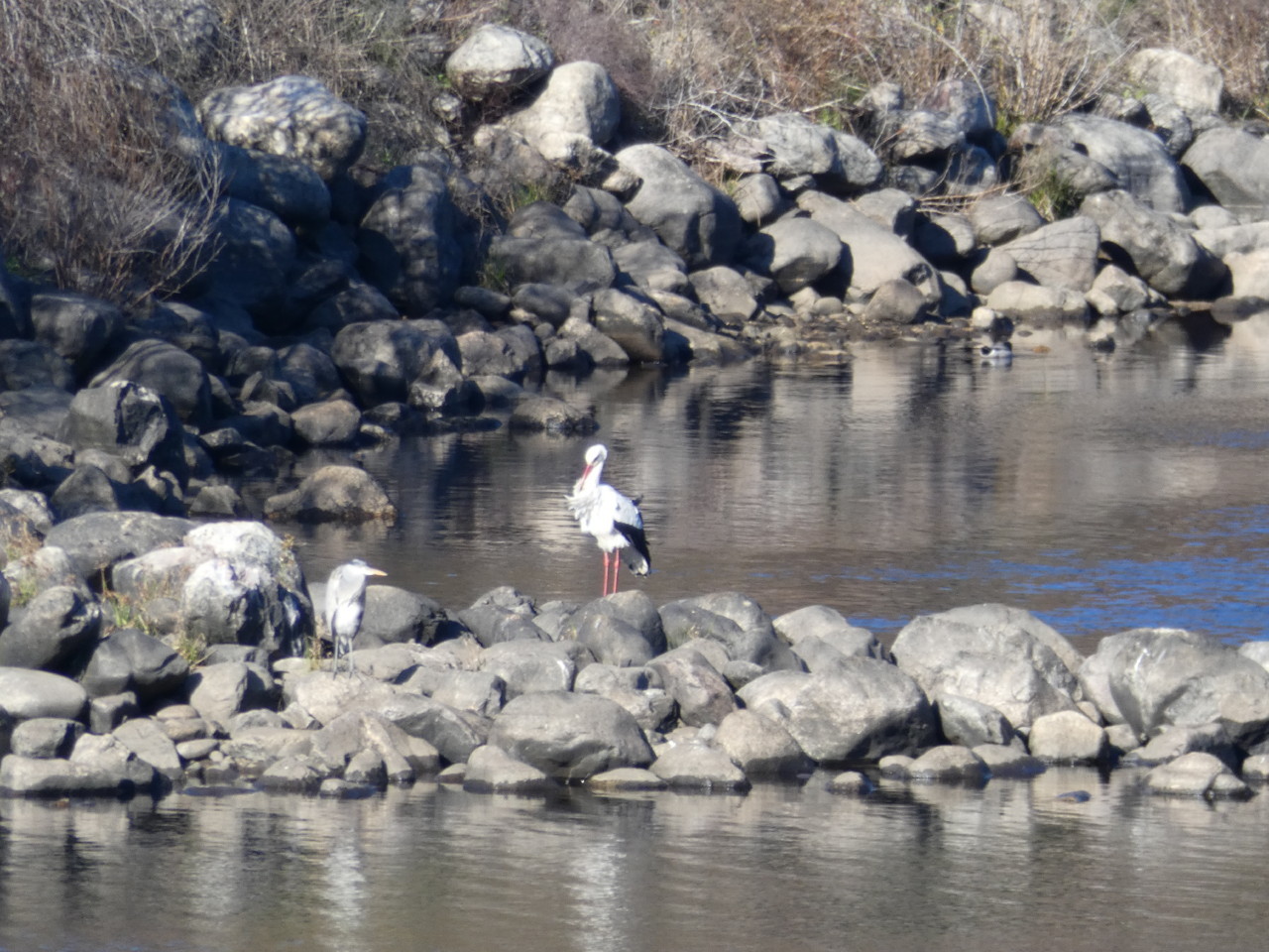 Conhal (15).jpeg Conhal (15).jpeg