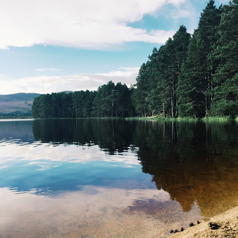 loch-garten.jpg loch-garten.jpg