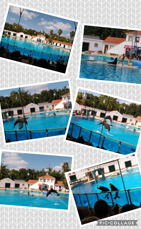 Collage 2017-08-31 23_27_07.jpg