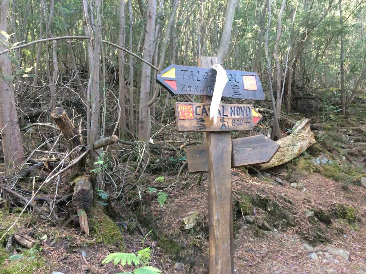 IMG_0358.JPG IMG_0358.JPG