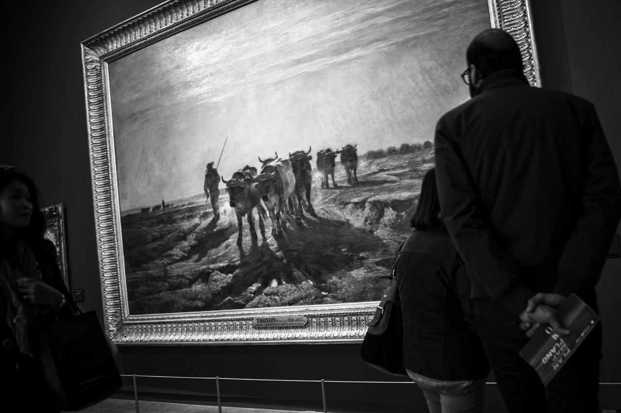 _JMD1426 - cópia copy.jpg