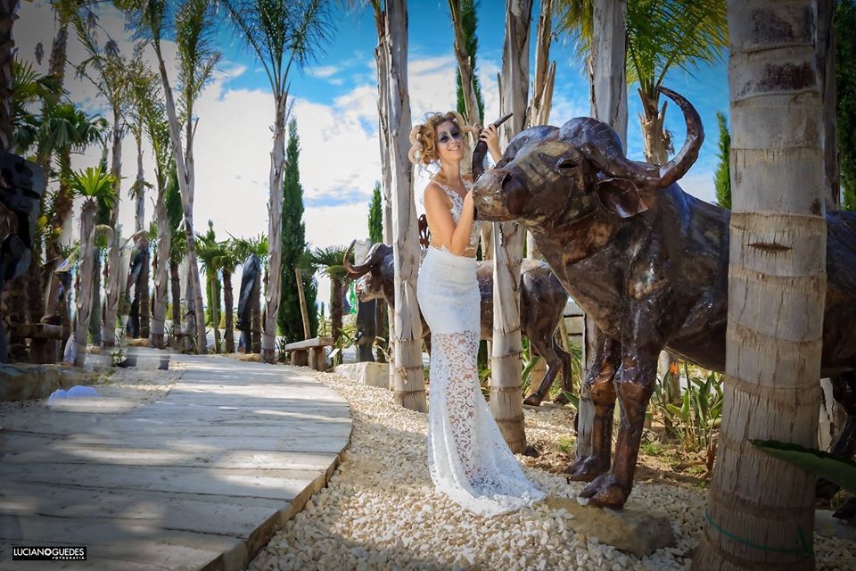 13411816_1770459039868601_6864624108840363123_o.jp