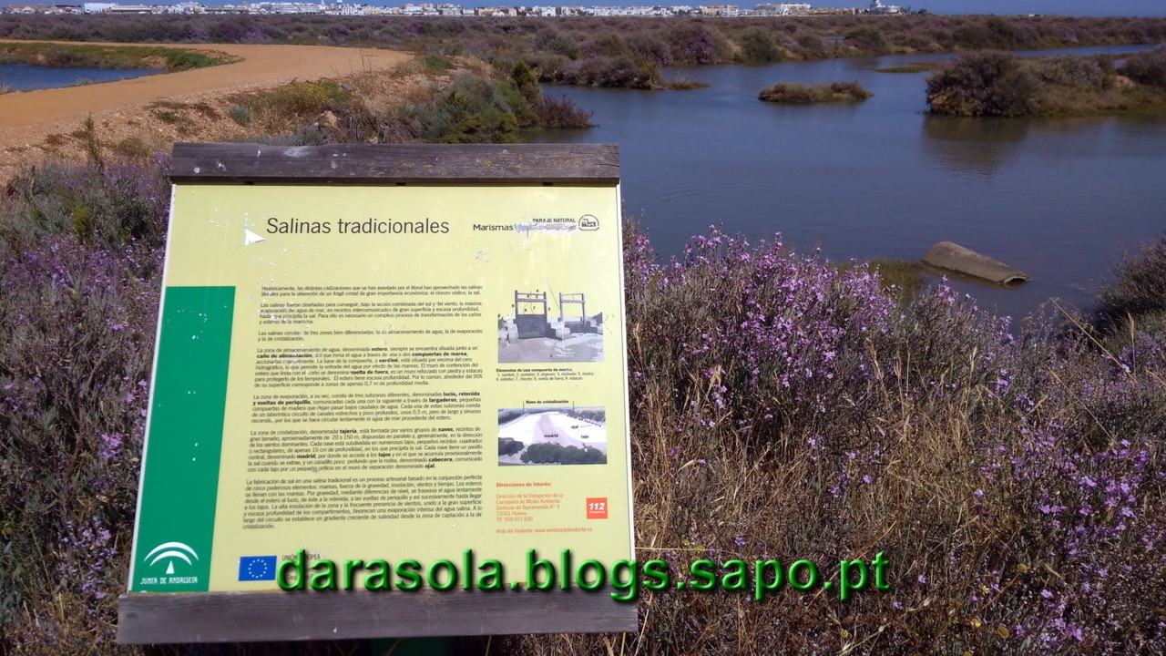 Maresmas_Isla_Canela_20.jpg Maresmas_Isla_Canela_20.jpg