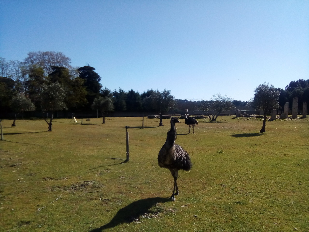 IMG_20190327_102654.jpg IMG_20190327_102654.jpg