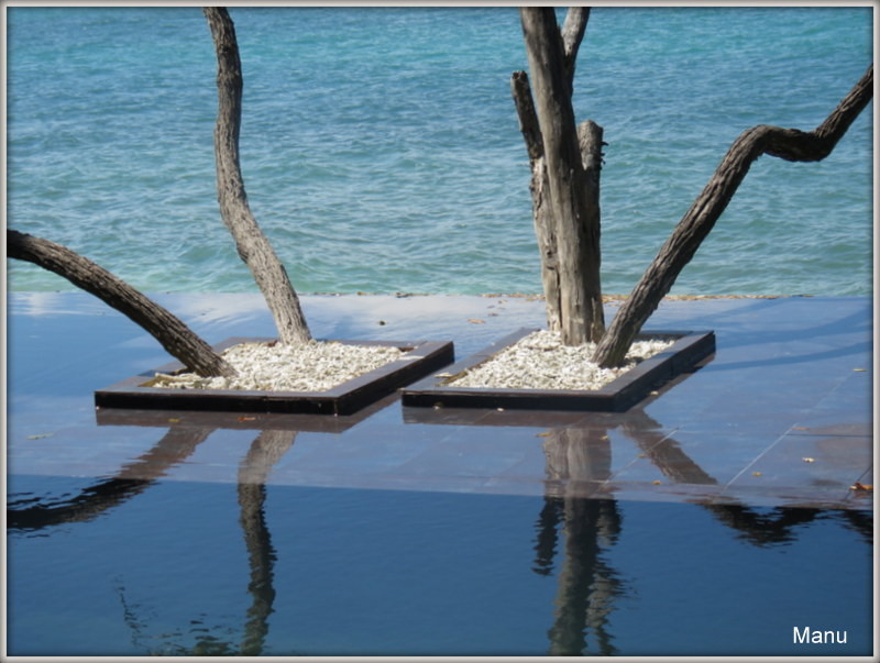 1-IMG_1174.JPG 1-IMG_1174.JPG