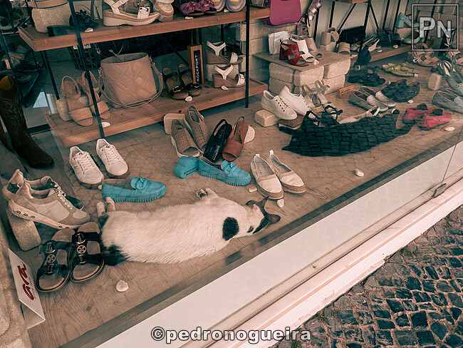 Jul_2023_019 650px.jpg