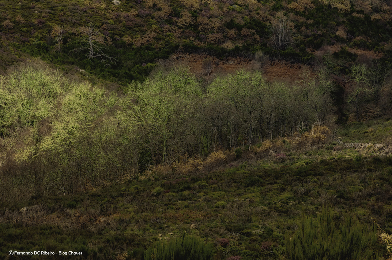 1600-cepeda (45)-video.jpg