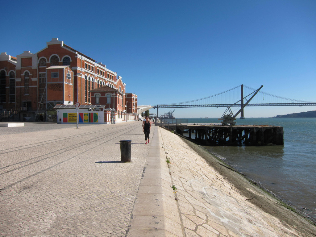 IMG_1192.jpg IMG_1192.jpg