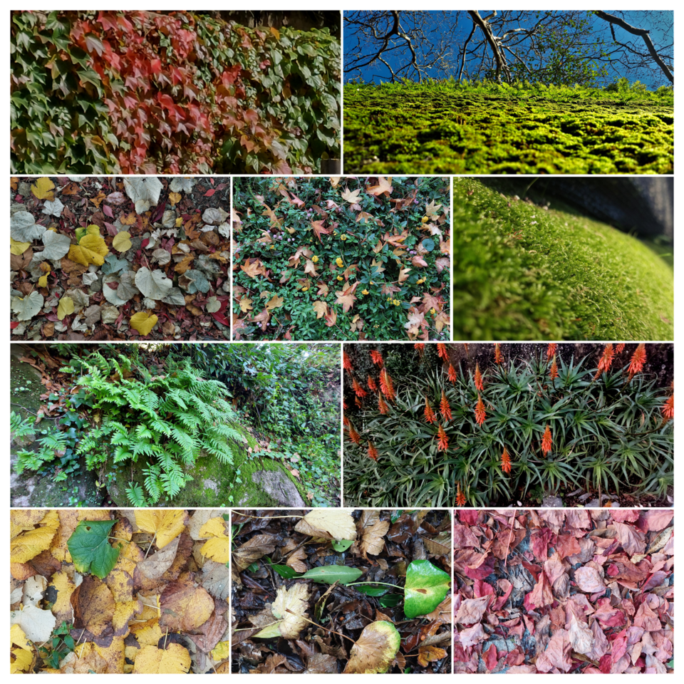 Blank 10 Grids Collage.png