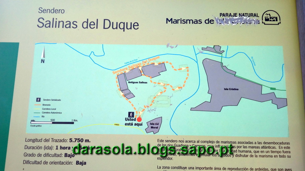 Maresmas_Isla_Canela_14.jpg Maresmas_Isla_Canela_14.jpg