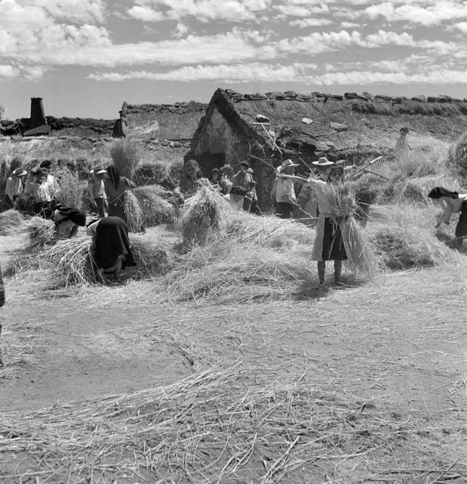 57-Artur Pastor - Barroso.jpg 57-Artur Pastor - Barroso.jpg