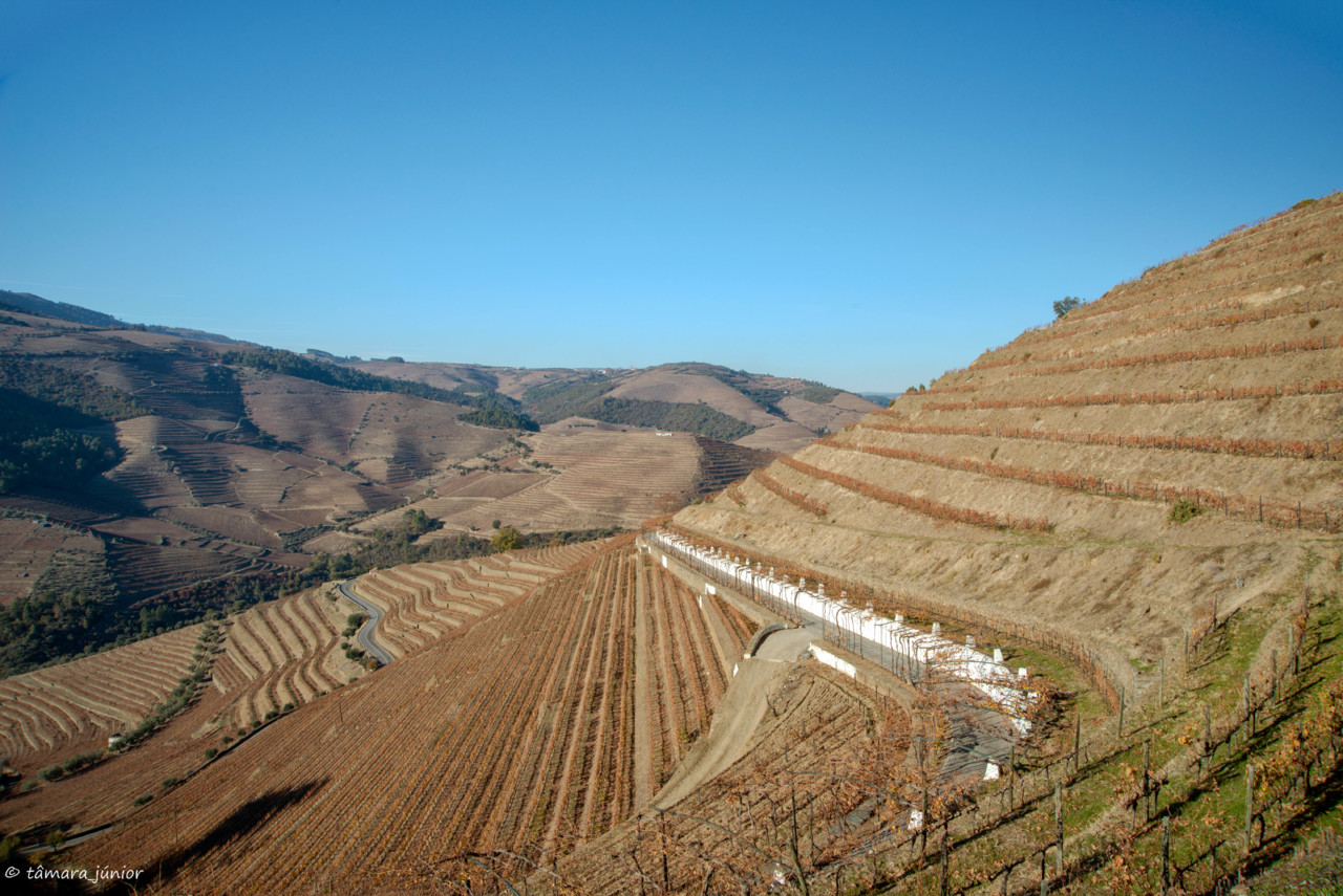 2017.- Pelo Douro no outono II (525).jpg 2017.- Pelo Douro no outono II (525).jpg