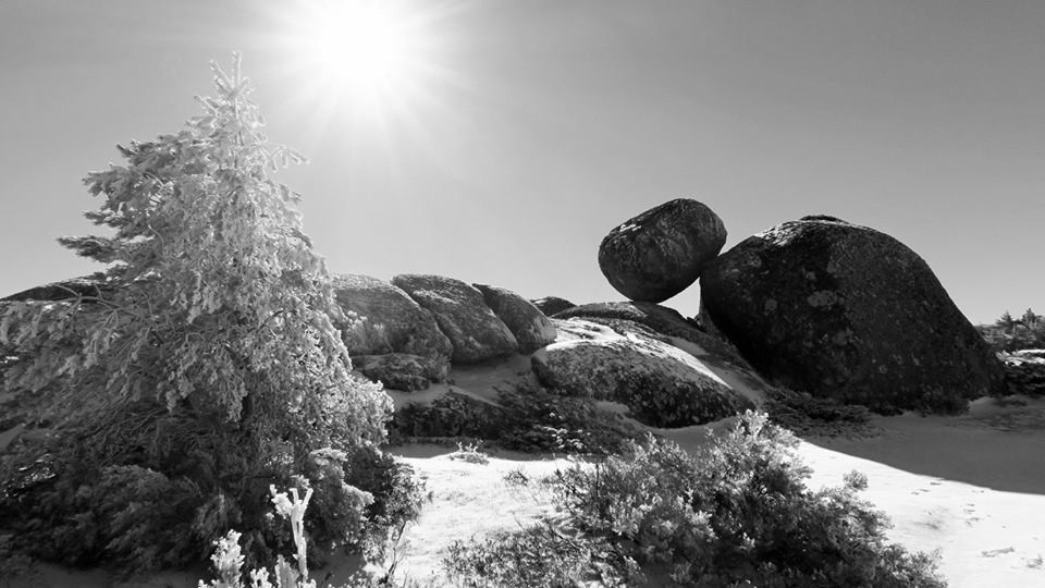 27072812_1833598873317873_1532749798982018354_n.jp