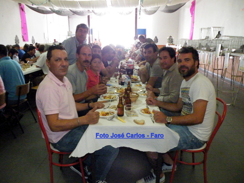 Leilão Ervidel 2017 007.JPG