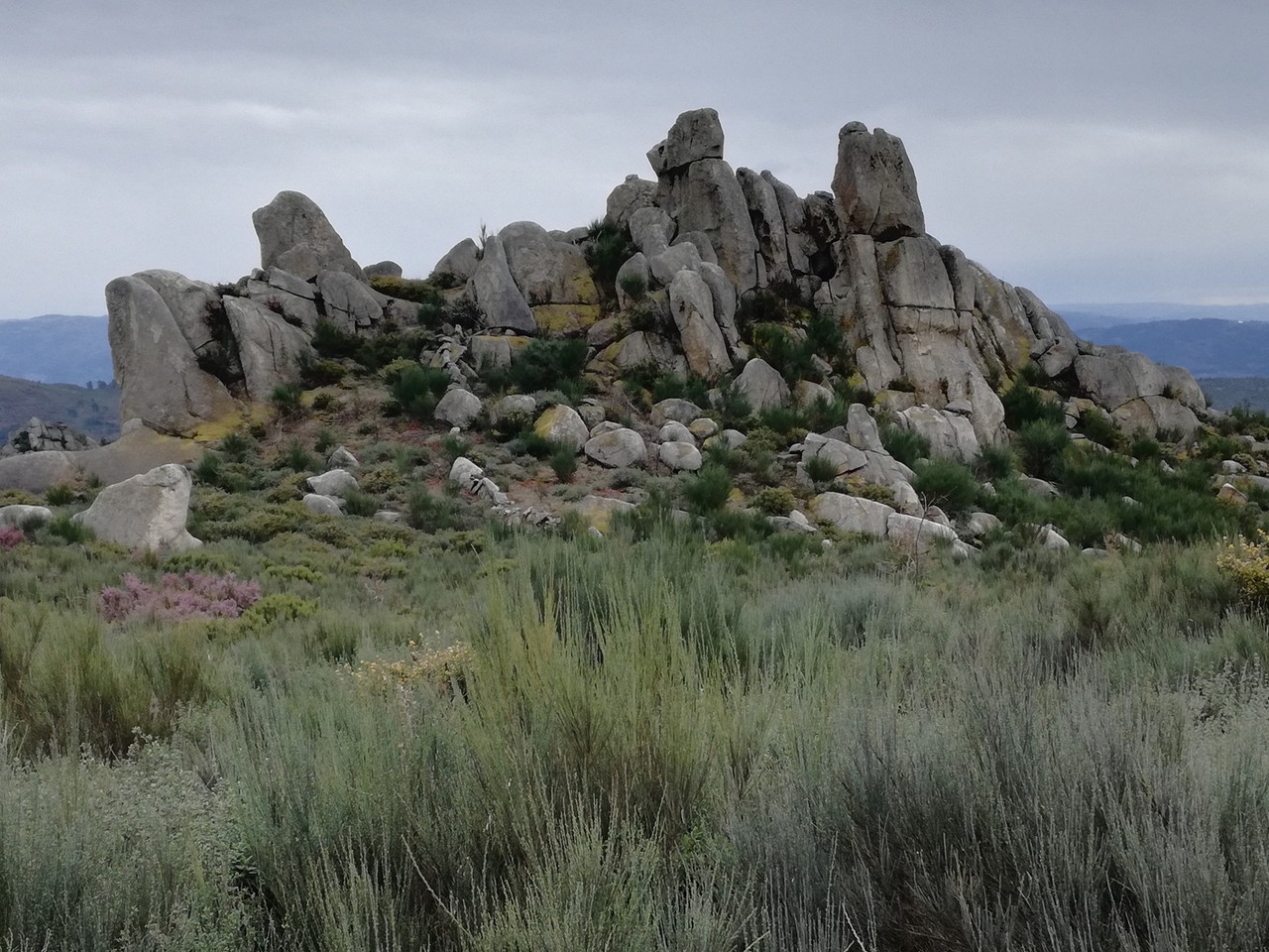 17436318_1535135926498647_6333063092579787052_o.jp