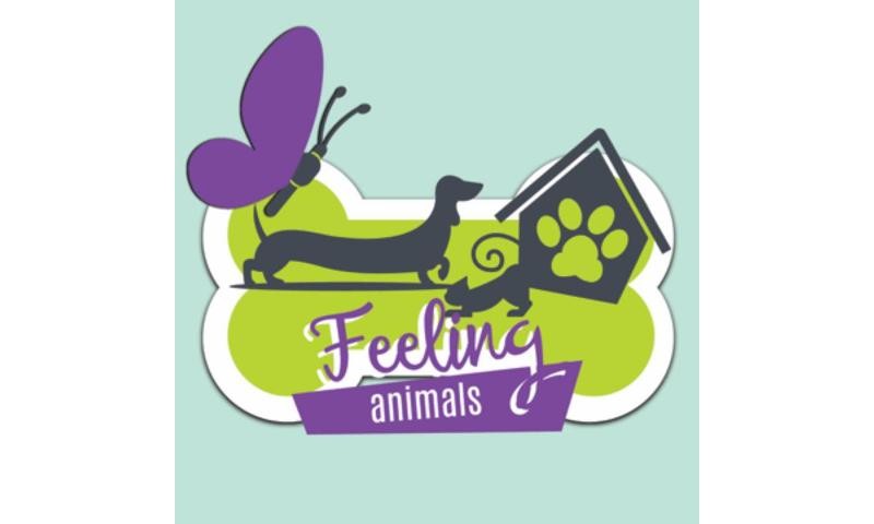 feeling.jpg feeling.jpg