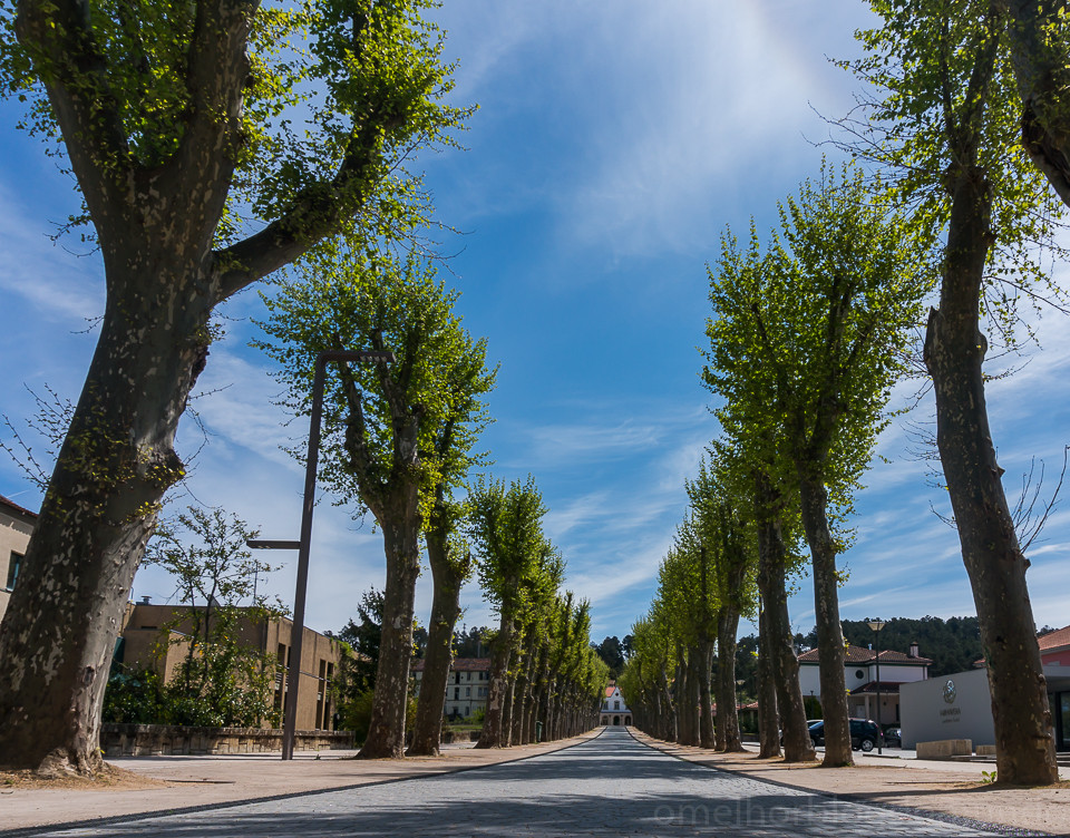 DSC02048.jpg DSC02048.jpg