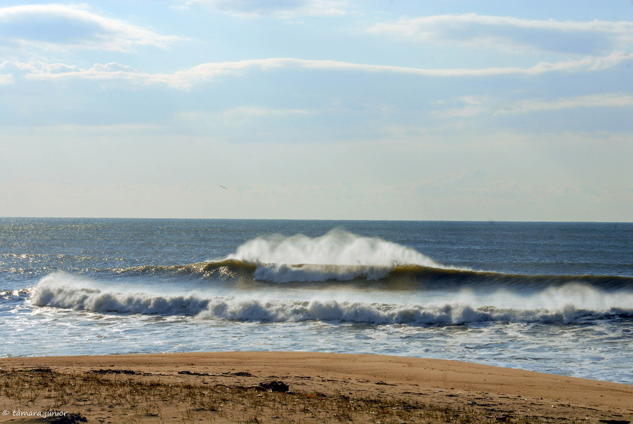 2013 - Espinho 196.jpg