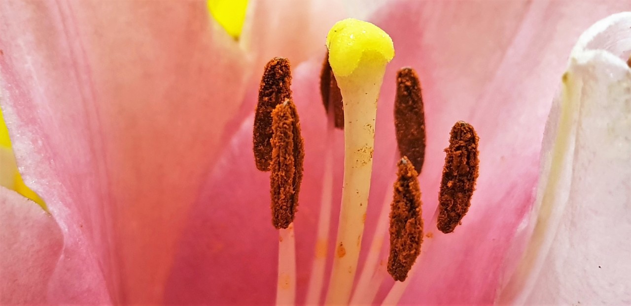 20180629_031248.jpg 20180629_031248.jpg