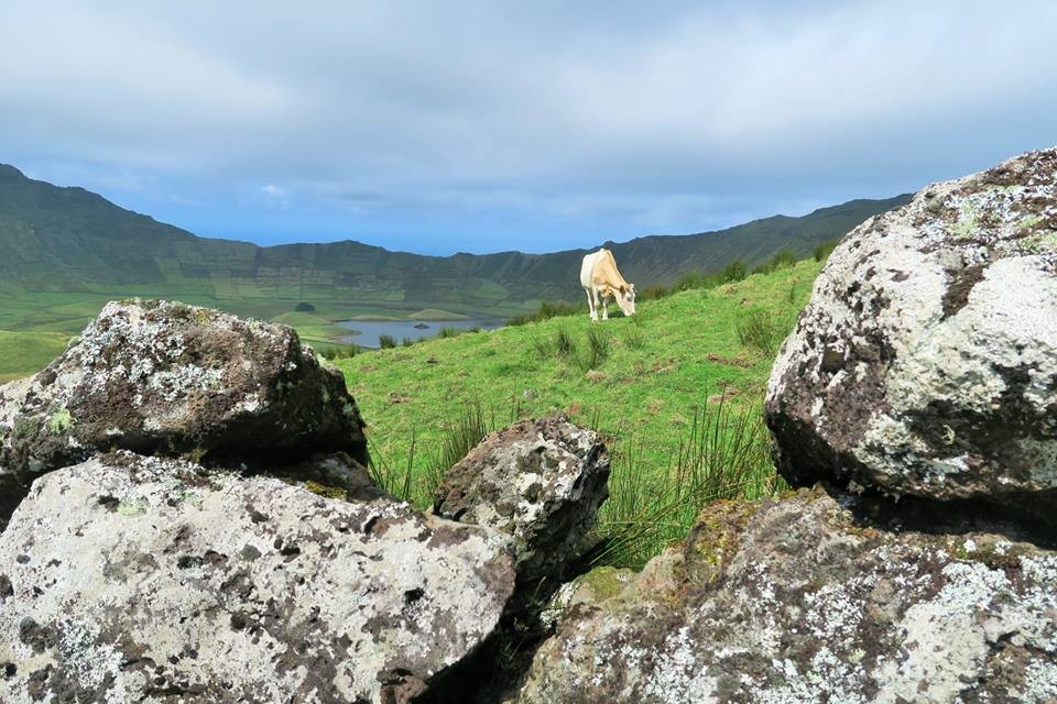 42628042_2155140897830334_2081904140249726976_n.jp