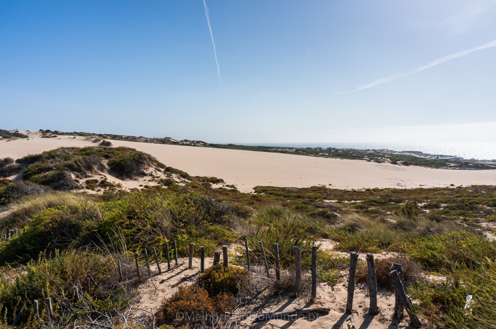 DSC00671.jpg DSC00671.jpg