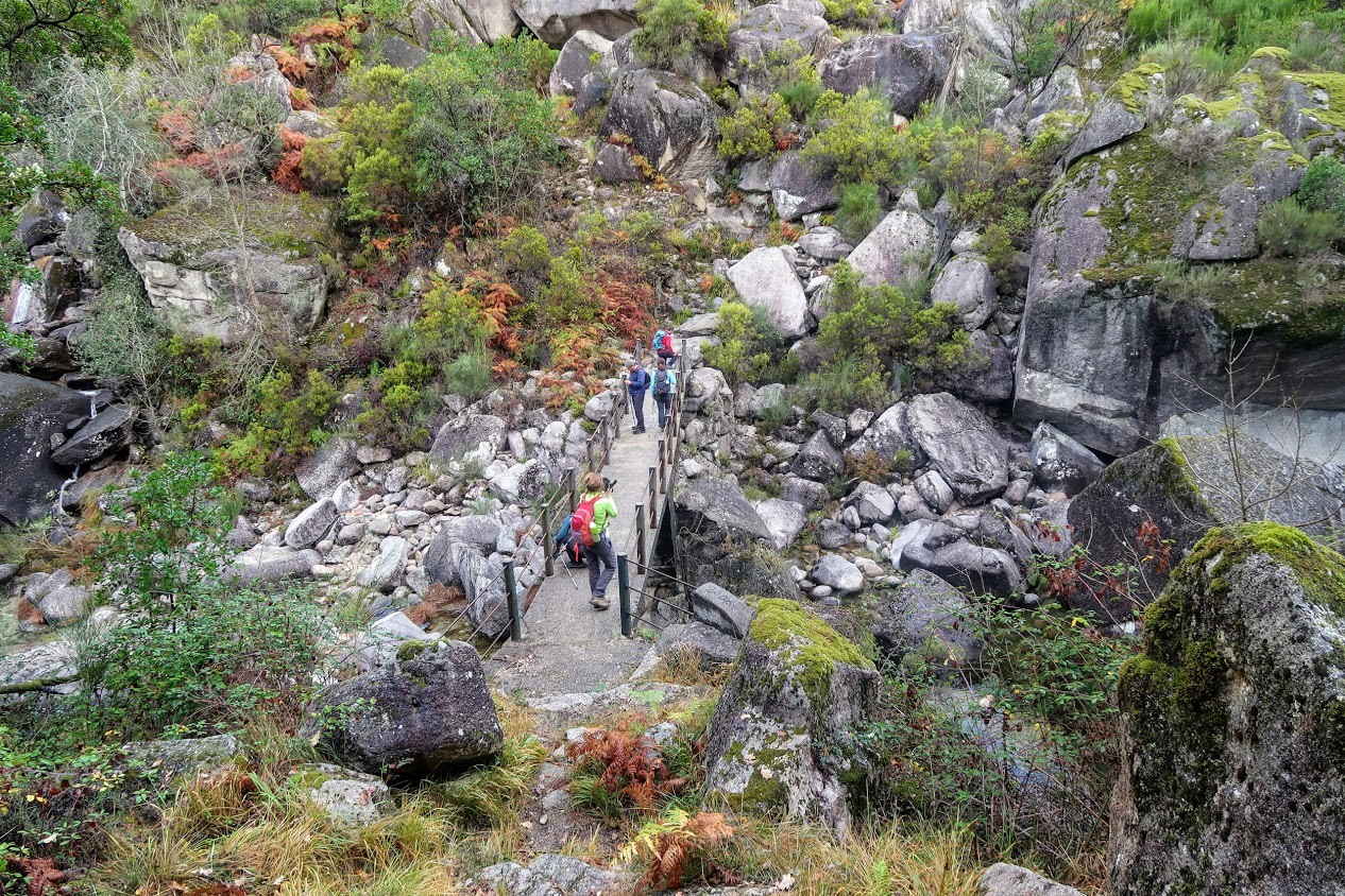 IMG_1856.CR2.jpg IMG_1856.CR2.jpg