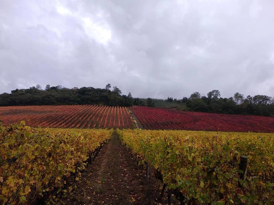 Wine Trails Portugal 5.jpg