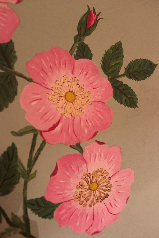 O país das maravilhas7.jpg O país das maravilhas7.jpg