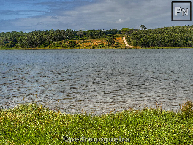 Jun_2025_045 650px.jpg