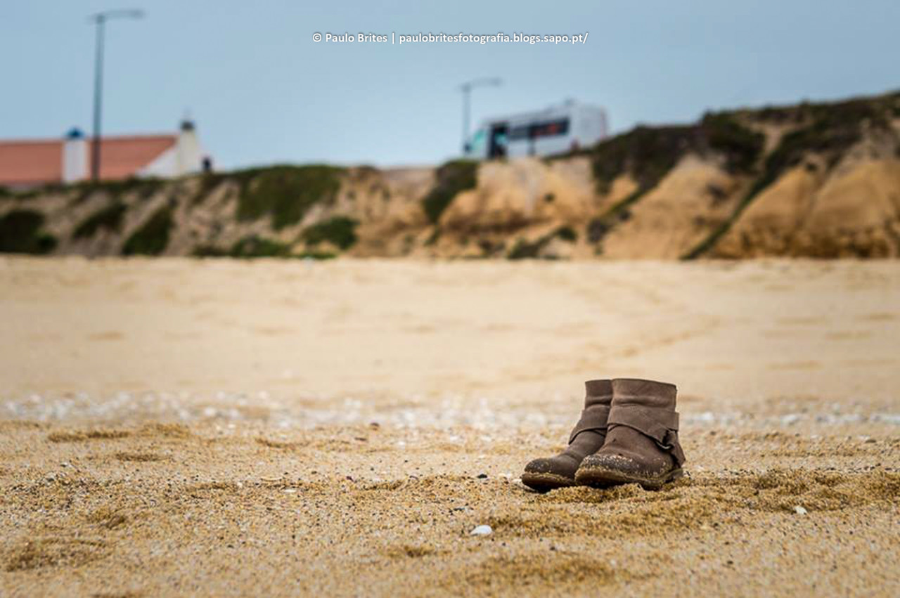 14355701_1145987795496196_4830095495362832906_n-1-