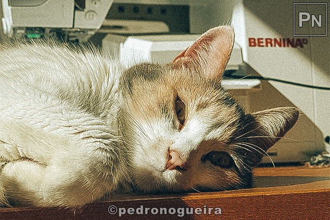 Fev_2022_015a_e 650px.jpg