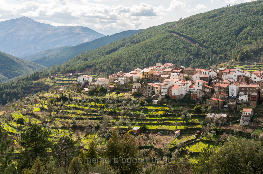 _DSC5373.jpg _DSC5373.jpg