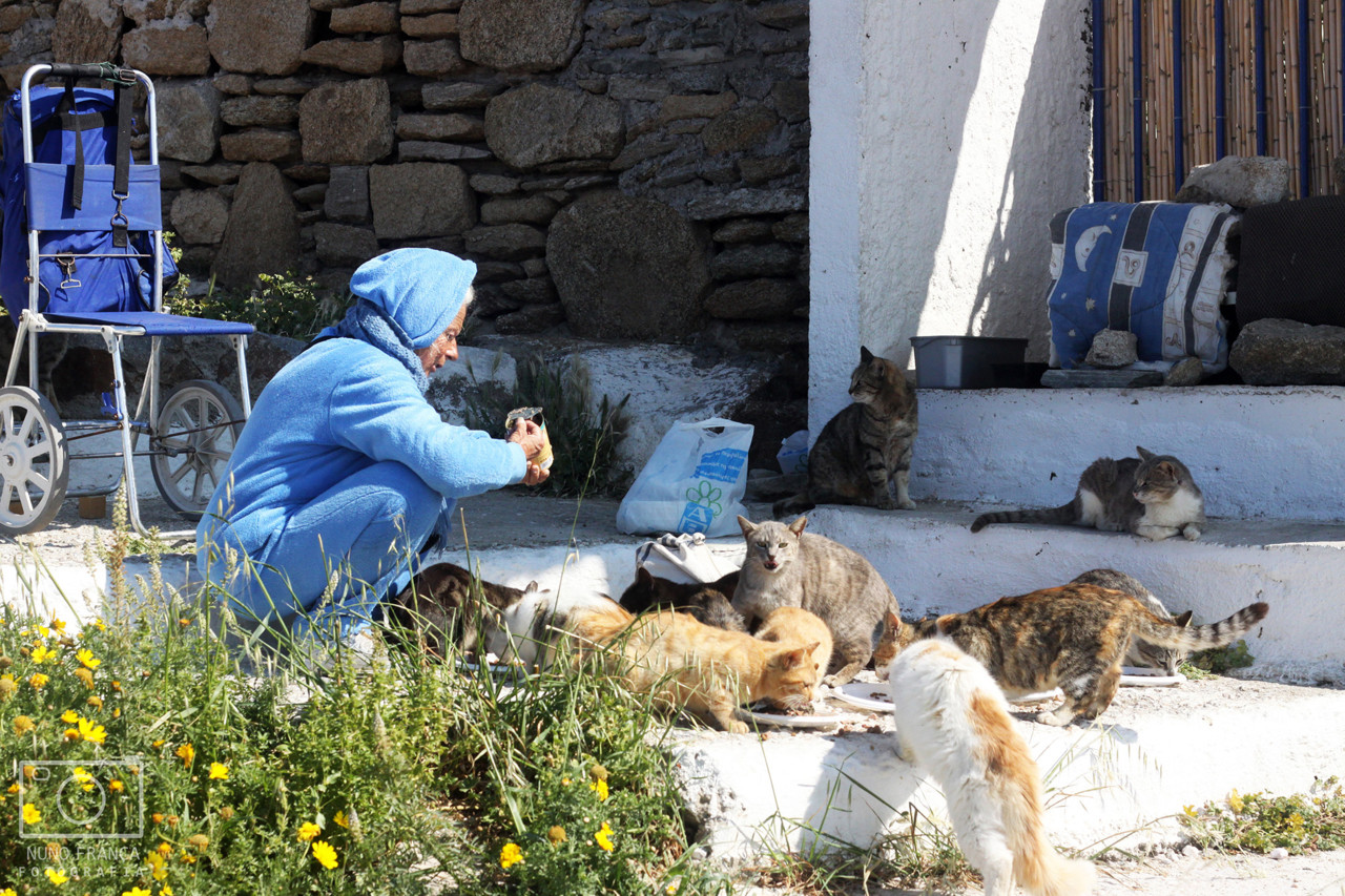 IMG_5841_net_redimensao.jpg IMG_5841_net_redimensao.jpg