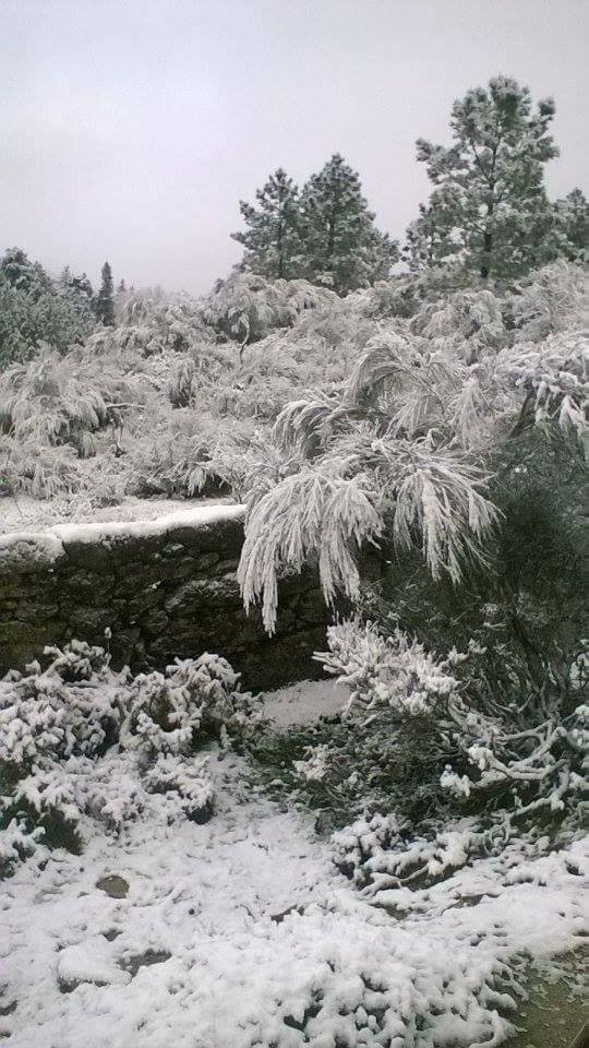 17424883_10210066821481049_8571438746706220992_n.j