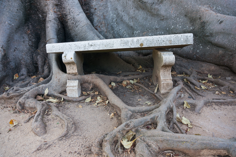 DSC00072.jpg DSC00072.jpg