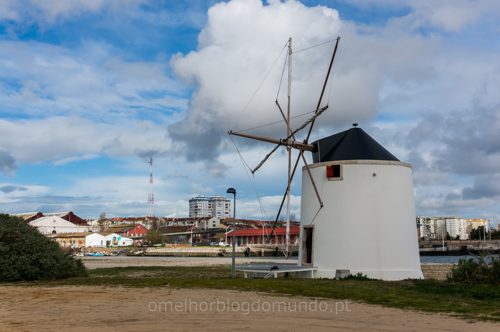 _DSC5524.jpg _DSC5524.jpg