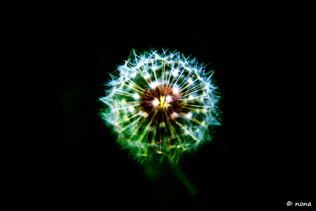 39.- Vagueando pela Montanha.jpg