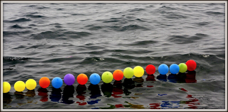 _MG_3919a tiro ao alvo.jpg