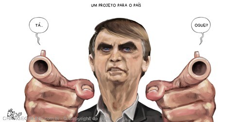 arma bolsonaro _aroeira.jpg