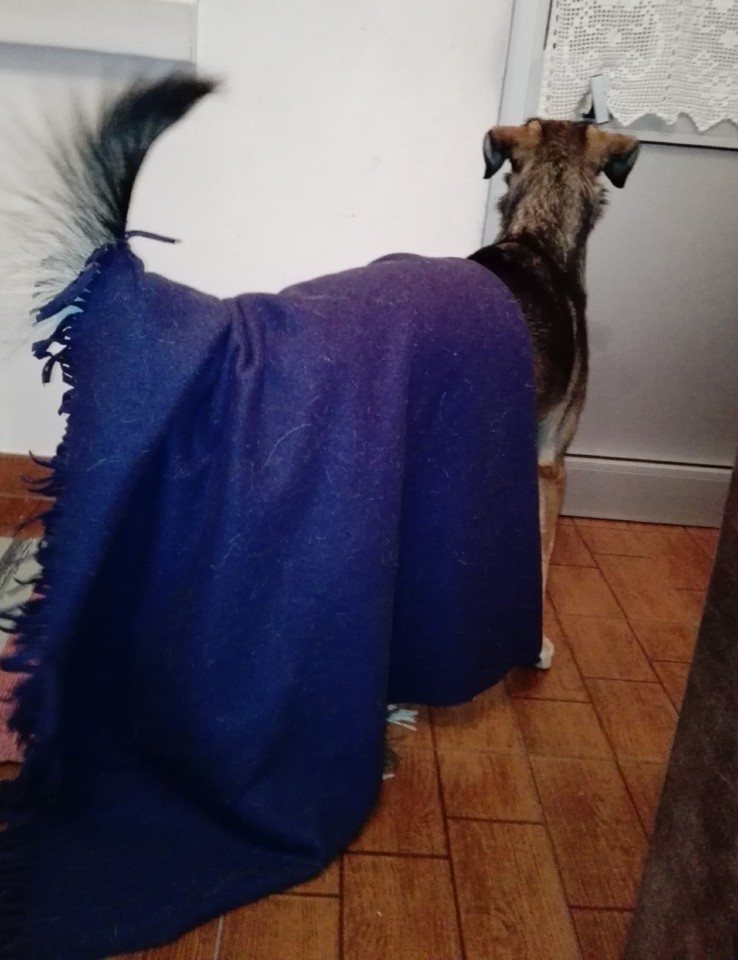 IMG_20180302_215521.jpg IMG_20180302_215521.jpg