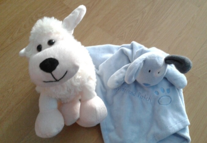 2016-01-25 14.10.19.jpg