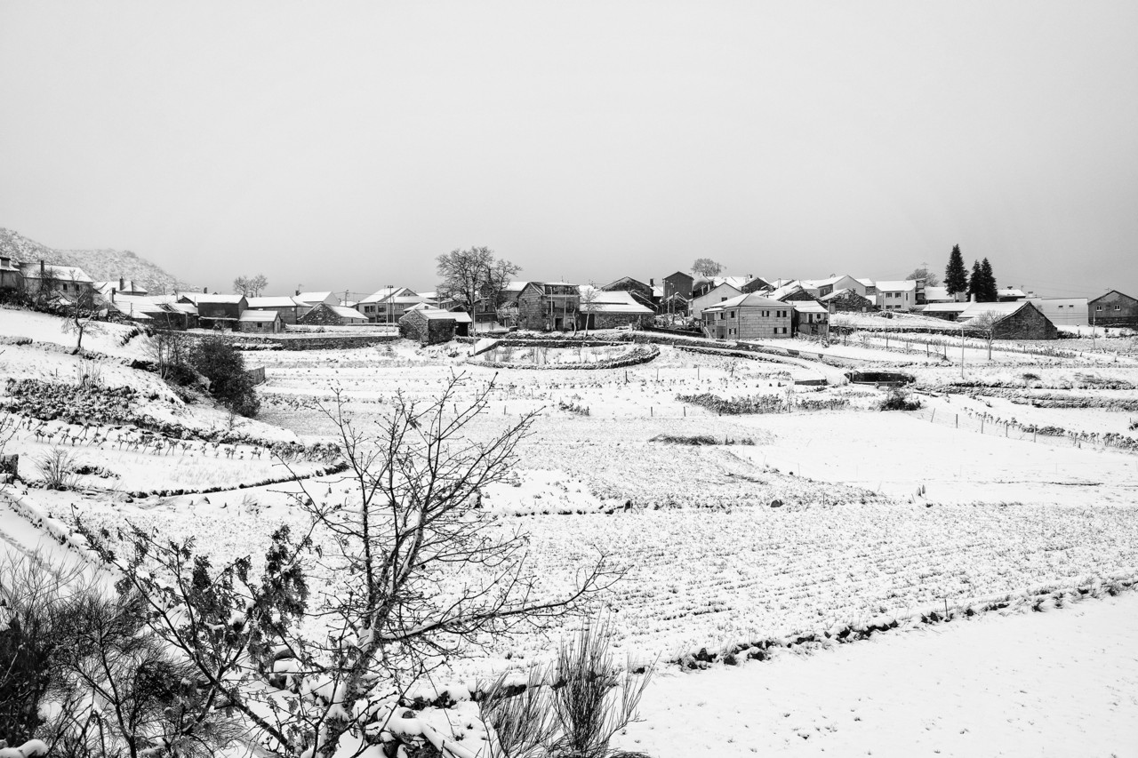 DSCF3240 - cópia 2 copy - cópia.jpg DSCF3240 - cópia 2 copy - cópia.jpg